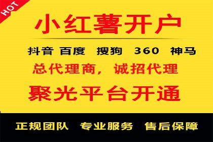 百度竞价广告投放全解析：成功案例揭秘